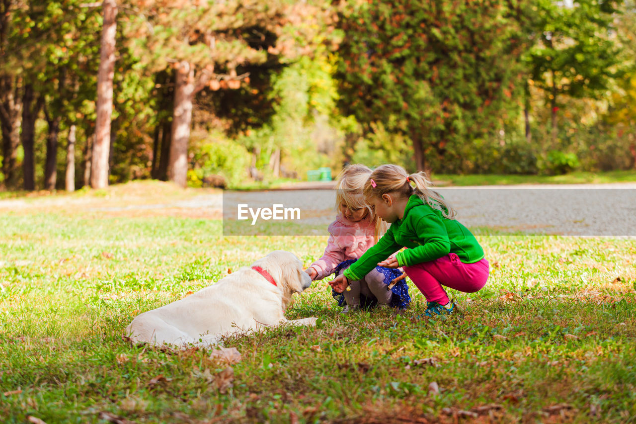 Rear view of girl with dog and plants