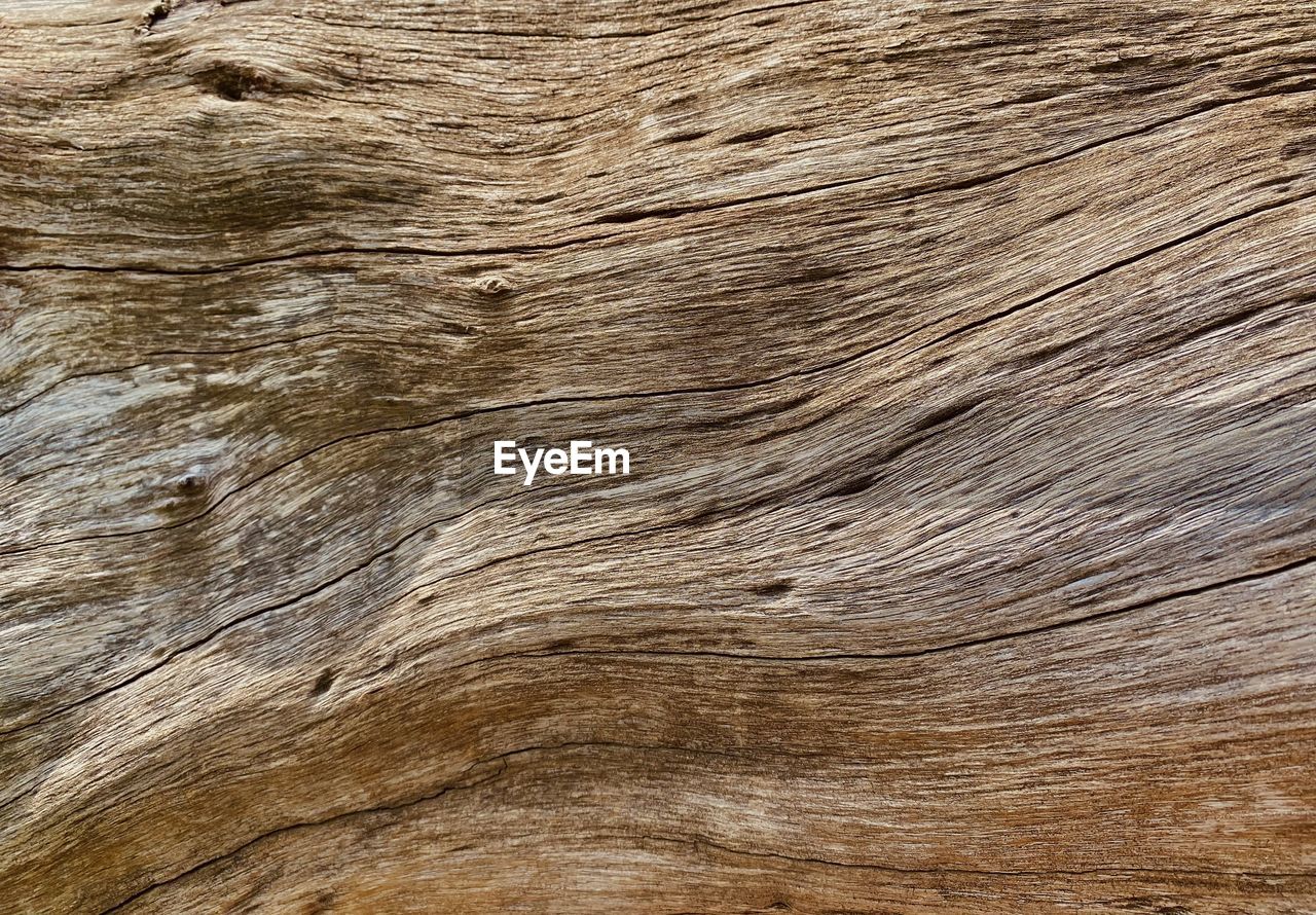 Wood texture and fiber