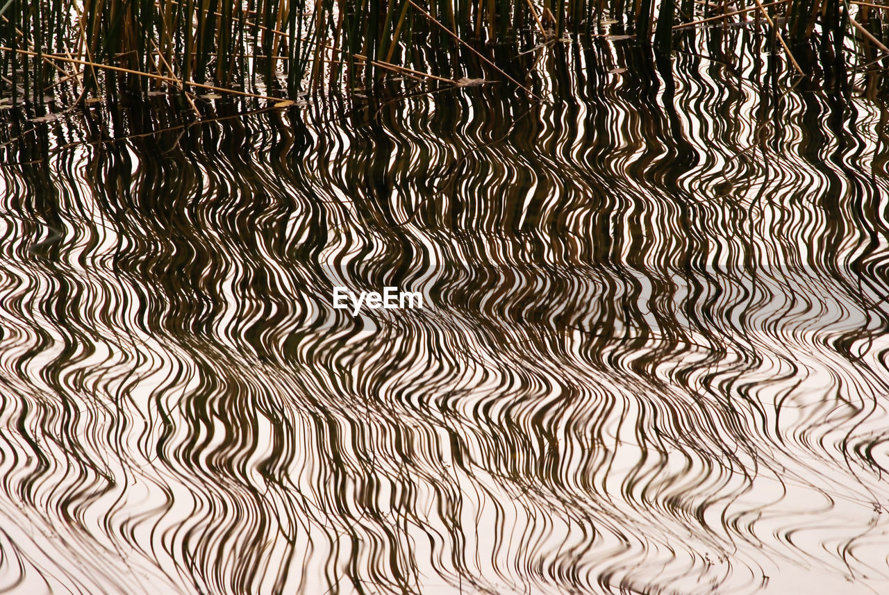 FULL FRAME SHOT OF WATER WITH REFLECTION IN BACKGROUND