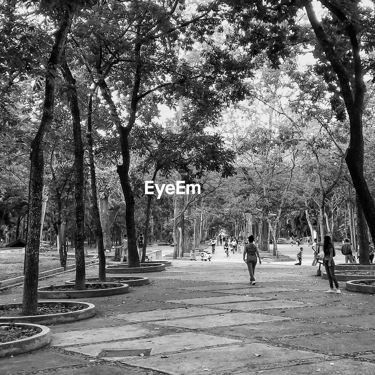 PEOPLE WALKING ON FOOTPATH IN PARK AT SUNNY DAY