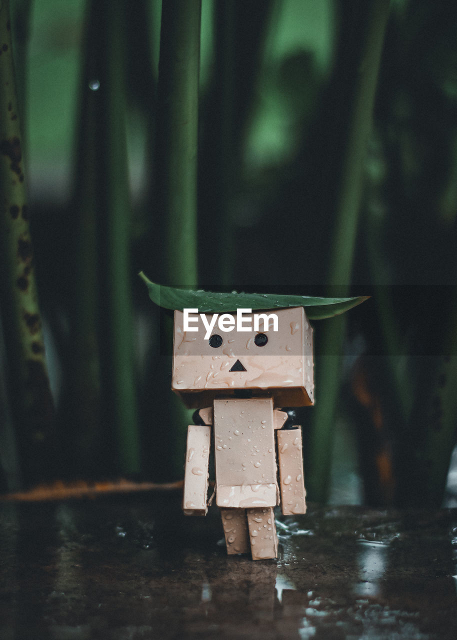 CLOSE-UP OF TOY ON TREE TRUNK IN FOREST