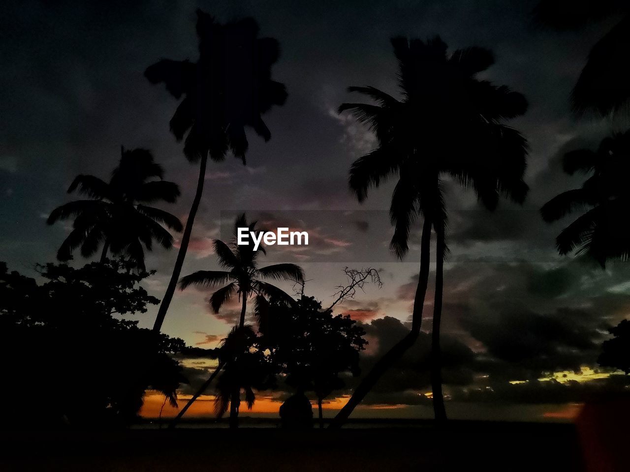SILHOUETTE PALM TREES AGAINST SKY DURING SUNSET