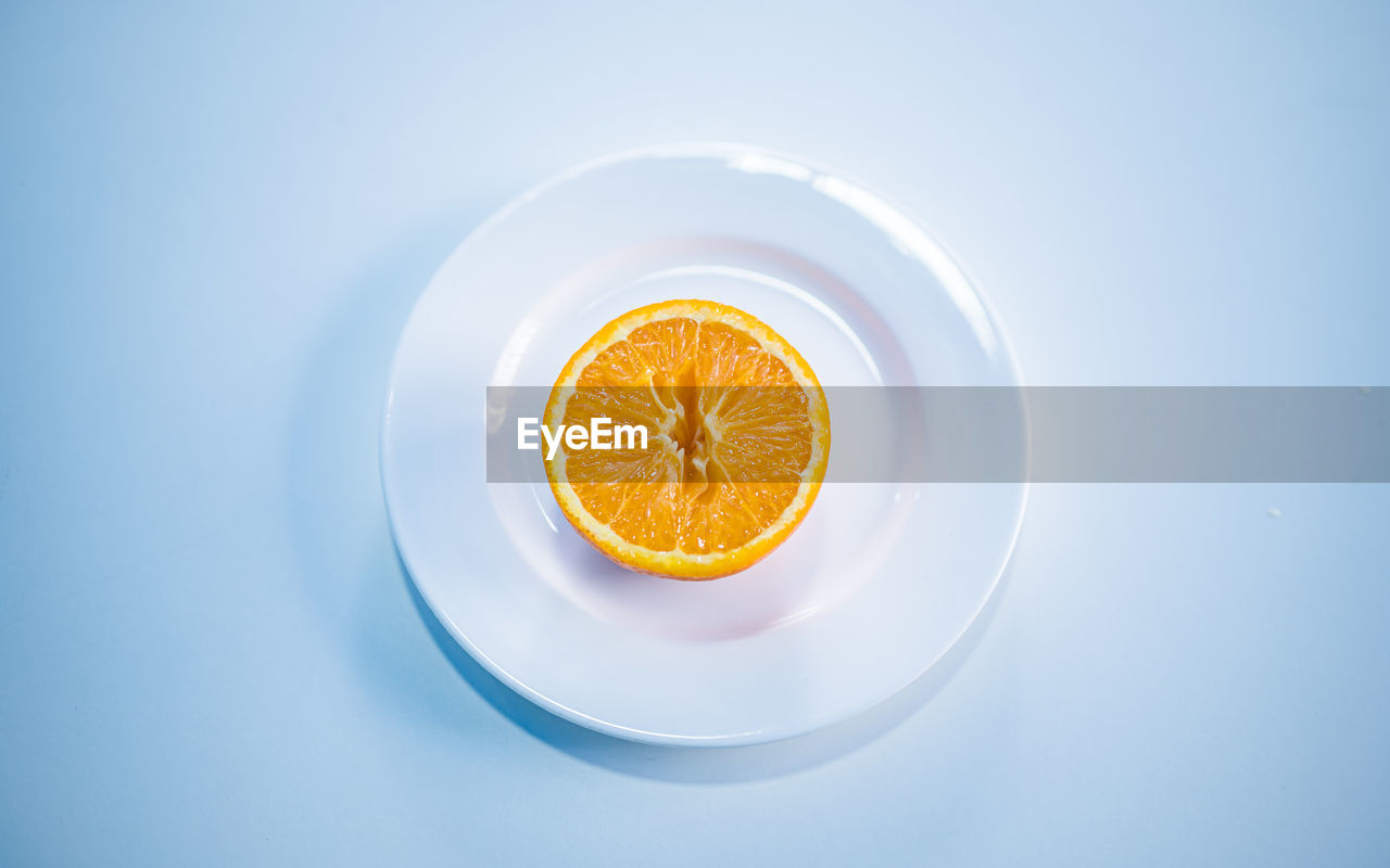 Flat lay colorful fruit slice orange.