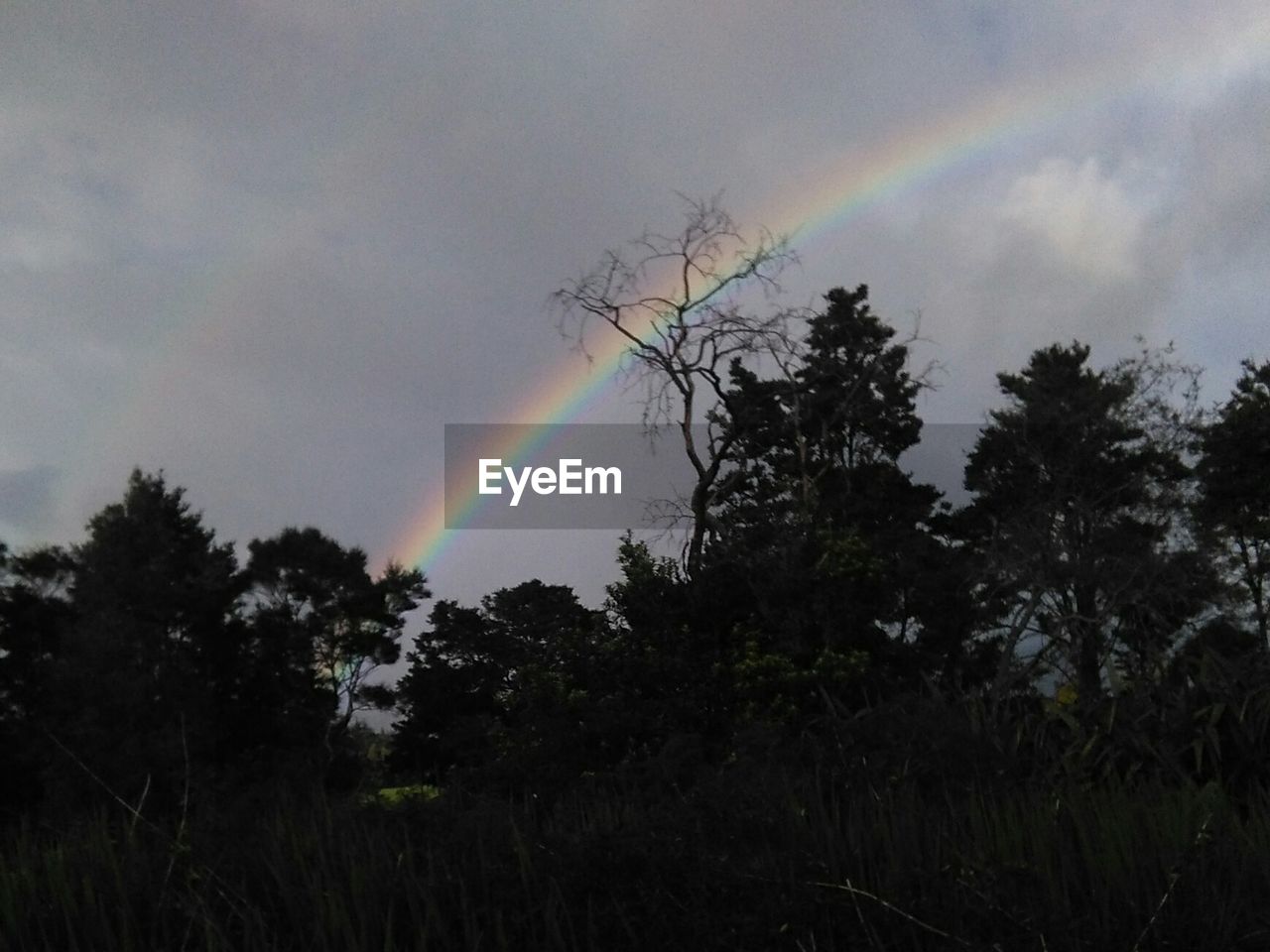 SCENIC VIEW OF LANDSCAPE AGAINST CLOUDY SKY