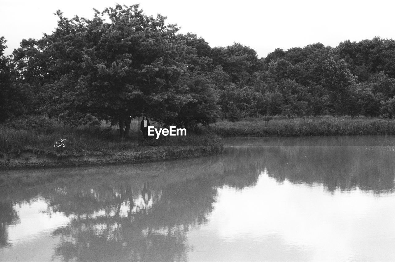 TREES BY LAKE AGAINST SKY