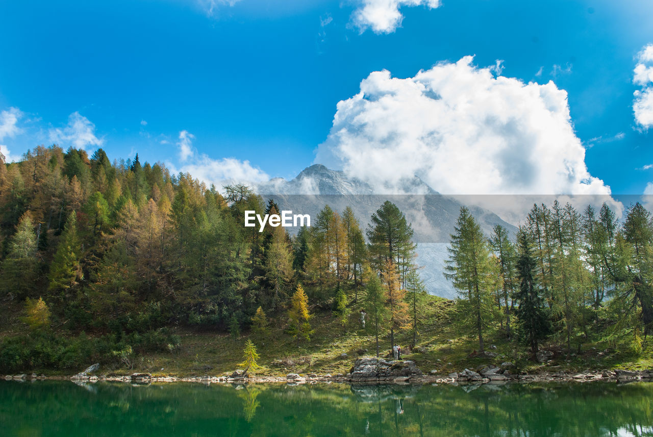 Scenic view of lake and trees against sky