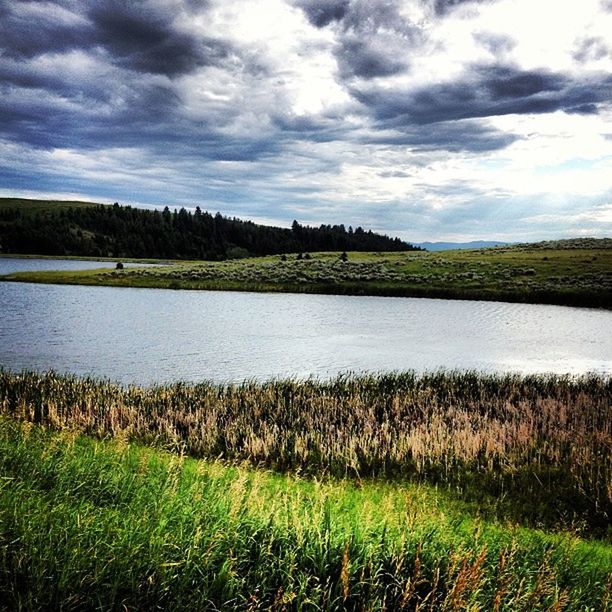 SCENIC VIEW OF LANDSCAPE AGAINST CLOUDY SKY