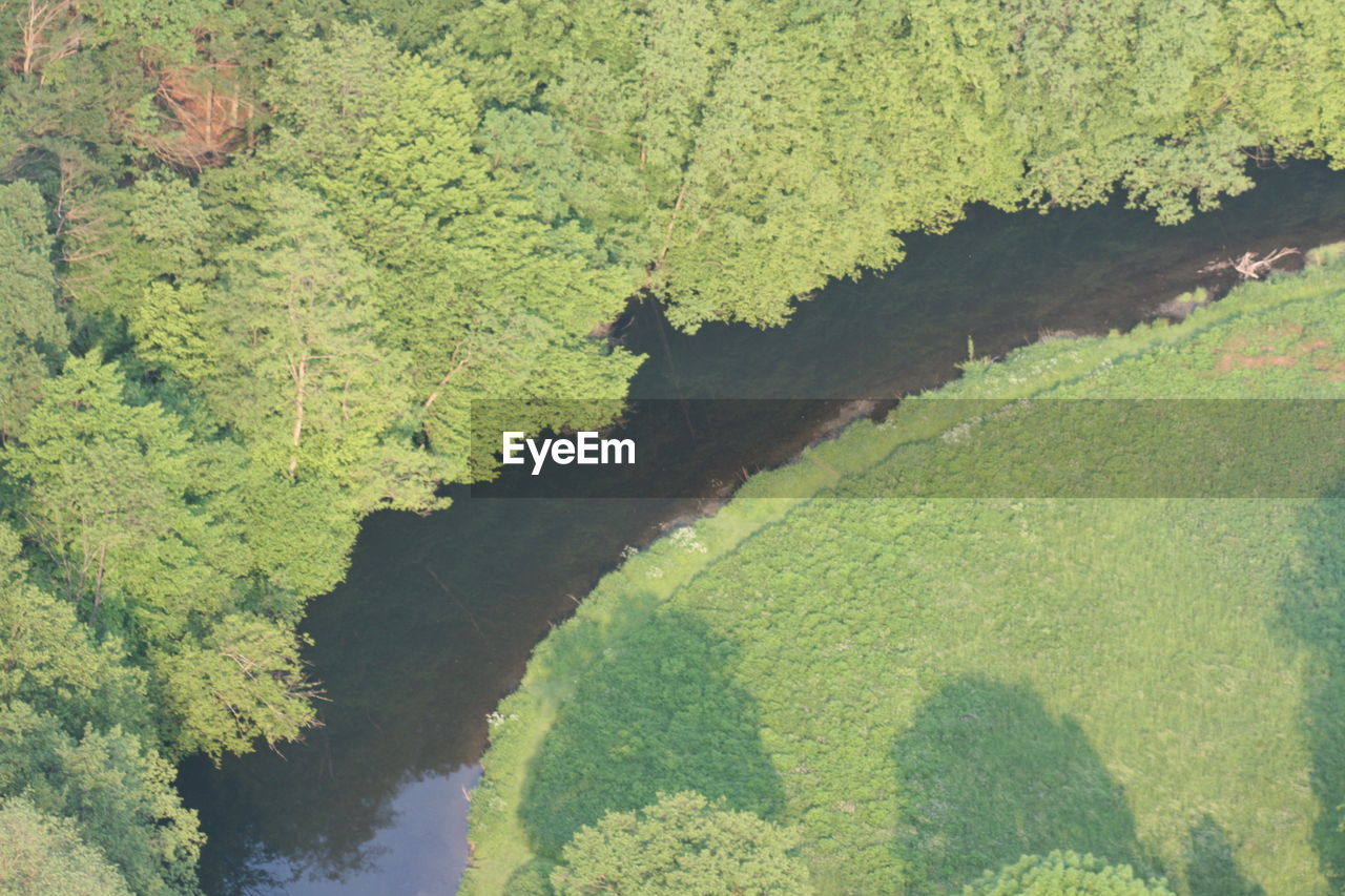 HIGH ANGLE VIEW OF TREES BY RIVER