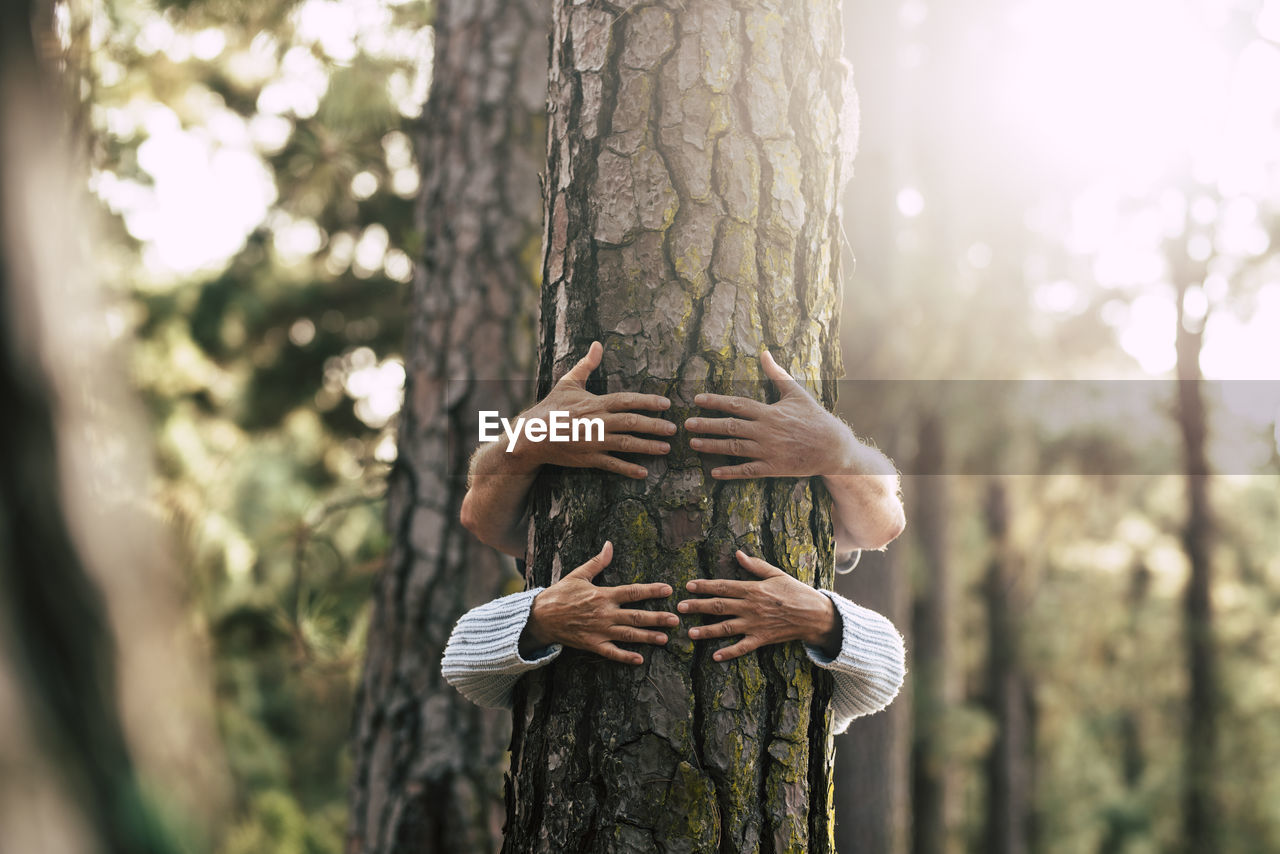 PERSON HOLDING TREE TRUNK