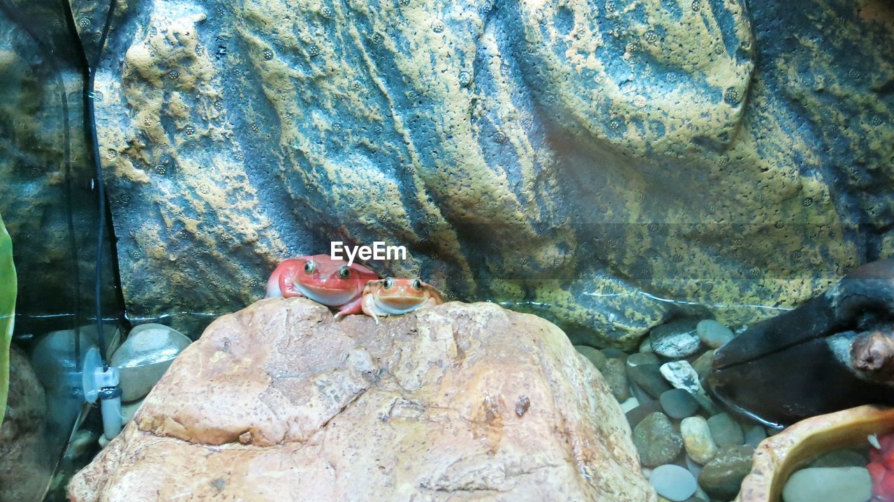 VIEW OF ROCKS ON LANDSCAPE