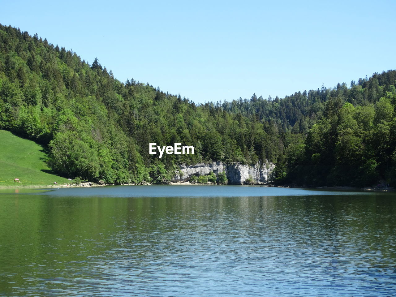 Scenic view of pine trees by lake against sky