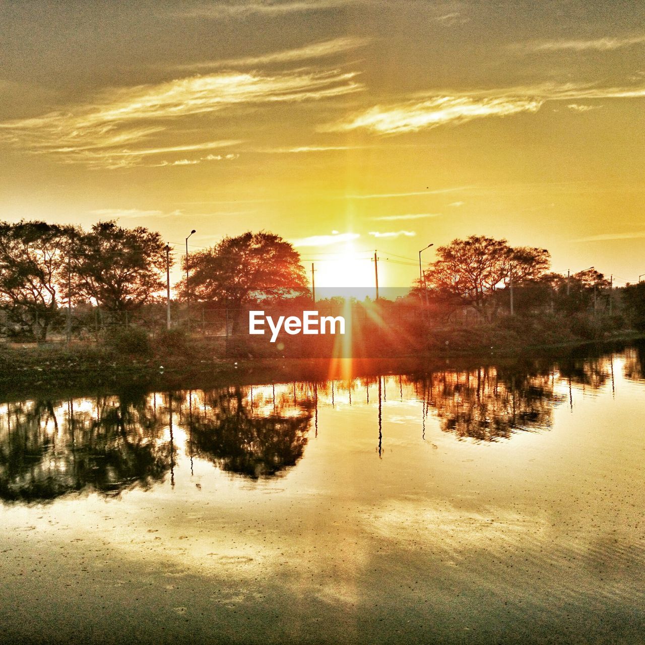 REFLECTION OF TREES IN LAKE DURING SUNSET