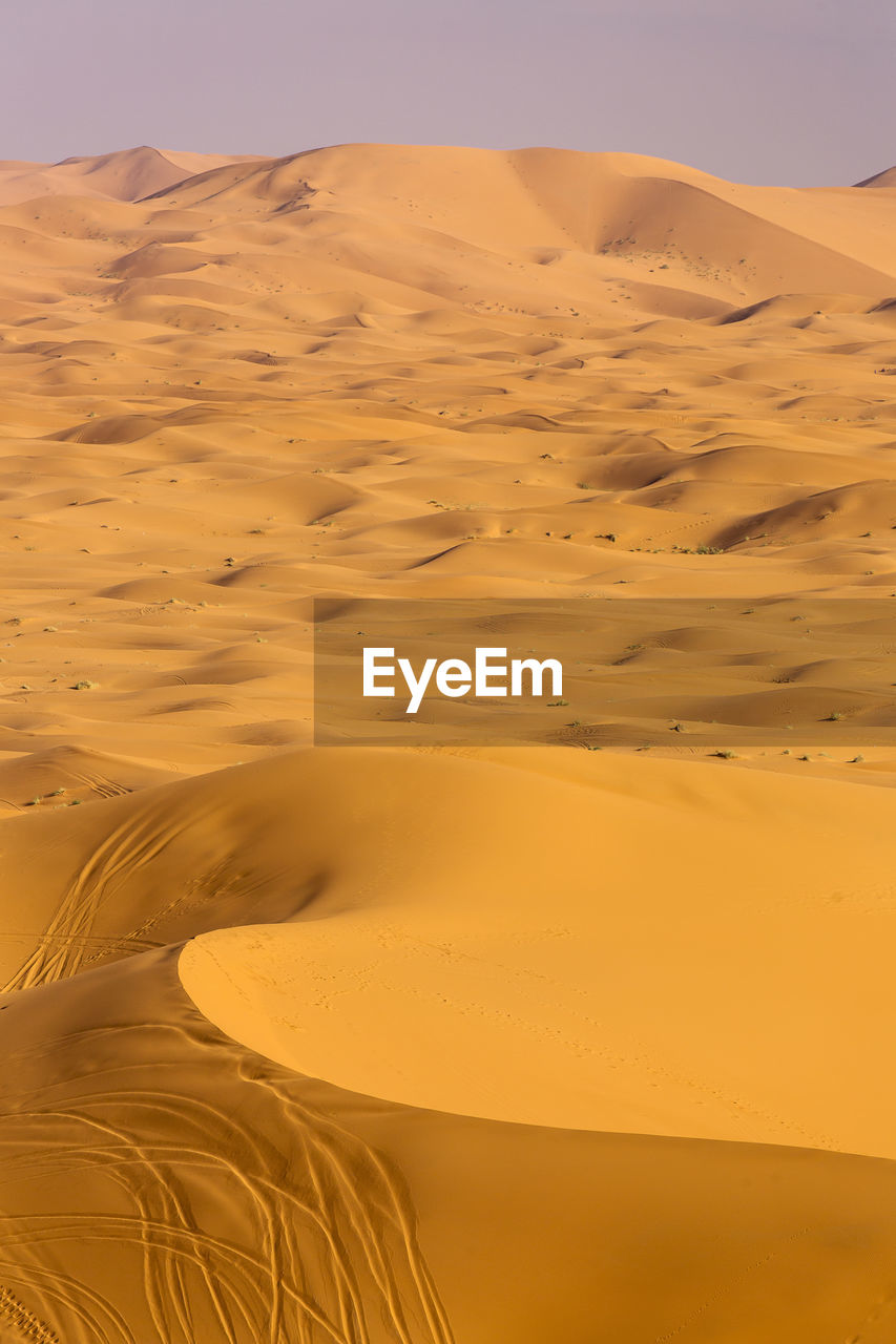 Sand dunes in desert