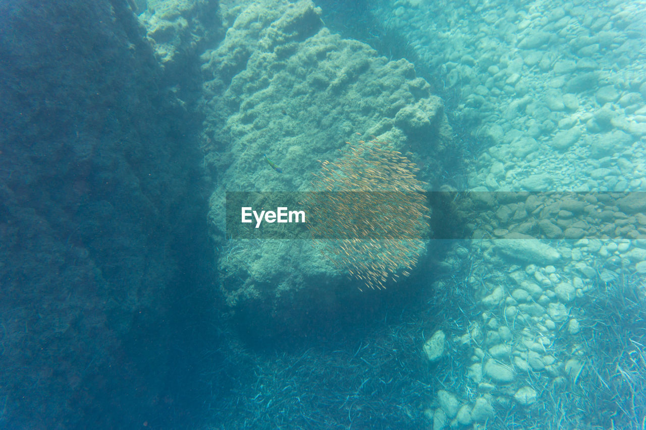 UNDERWATER VIEW OF SEA