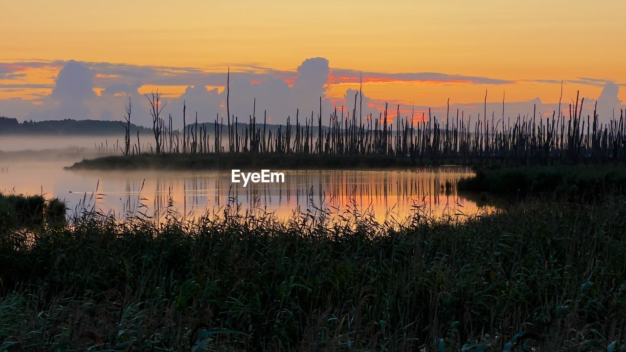 sunset, sky, dawn, reflection, water, evening, nature, horizon, beauty in nature, plant, environment, landscape, scenics - nature, sun, land, tranquility, no people, grass, orange color, twilight, cloud, outdoors, tranquil scene, wetland, marsh, lake, afterglow, sunlight, architecture, silhouette, field, non-urban scene, idyllic, social issues, travel destinations, growth, industry