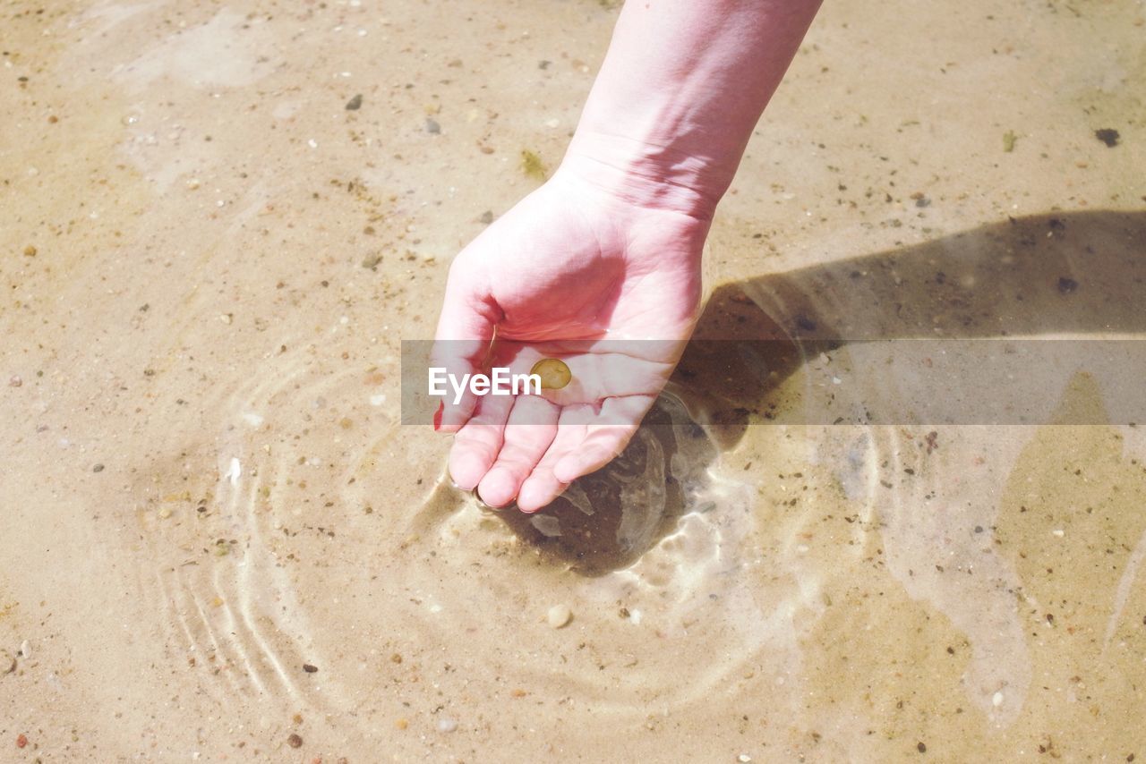 Cropped image of woman picking up pebble from water at shore