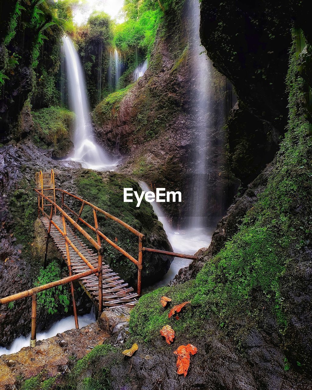 High angle view of waterfall in forest