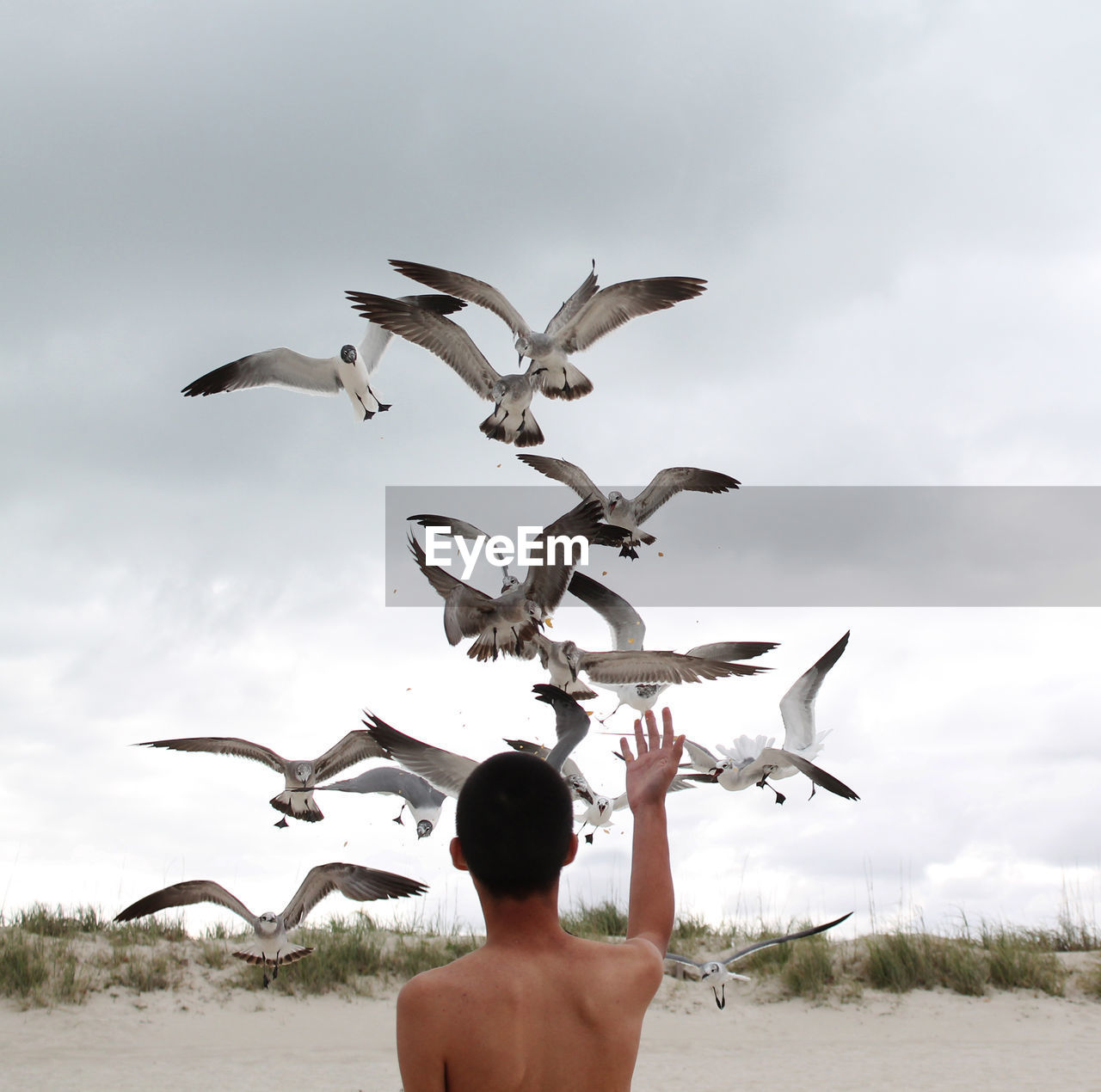 Rear view of shirtless man with seagulls against sky