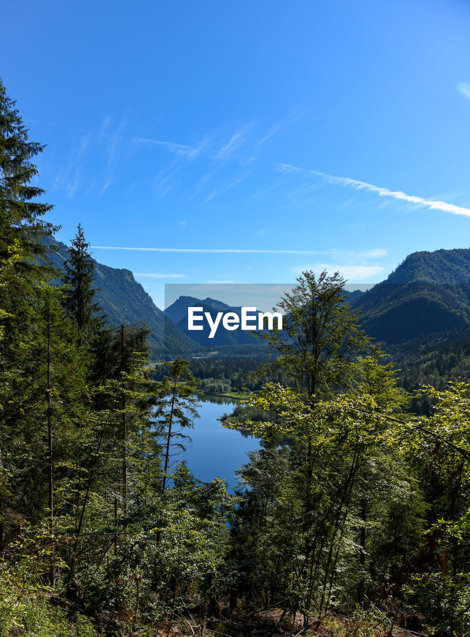 SCENIC VIEW OF TREE MOUNTAINS AGAINST BLUE SKY