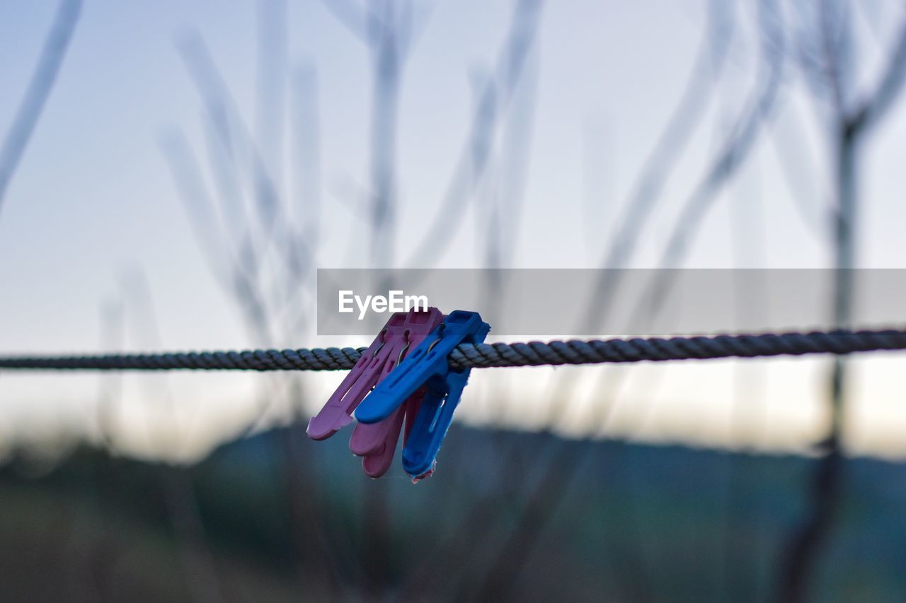 Clothes peg on clothes line