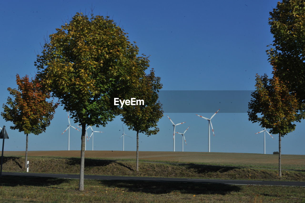 TREES ON FIELD AGAINST SKY DURING AUTUMN