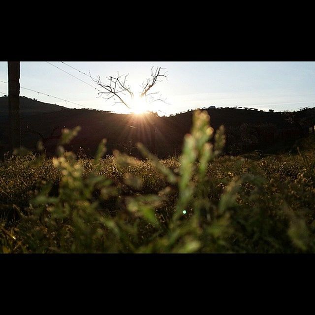 SCENIC VIEW OF LANDSCAPE AT SUNSET