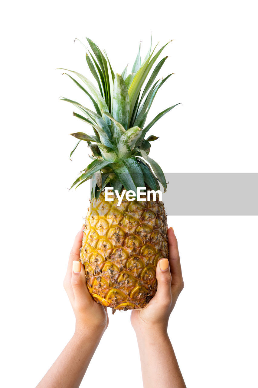 Cropped hands of woman holding pineapple against white background