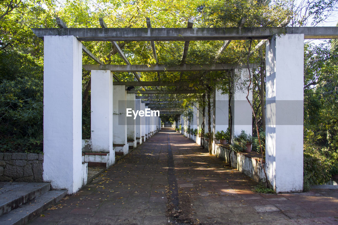 FOOTPATH IN A PARK