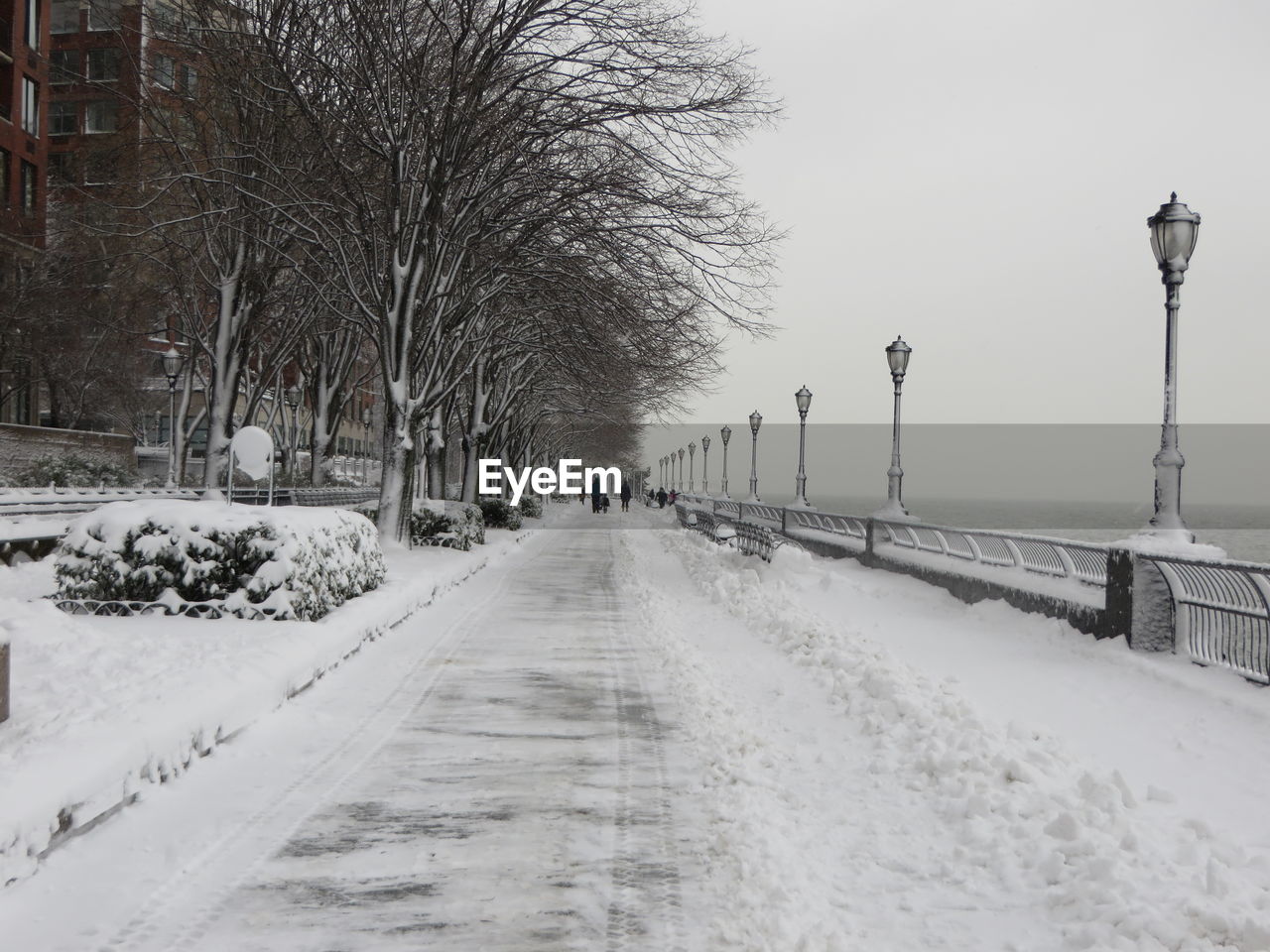 Snow covered road amidst bare trees against sky