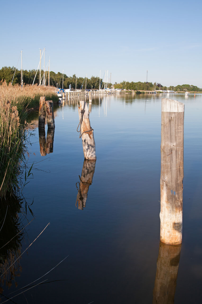 REFLECTION OF TREES IN LAKE AGAINST SKY