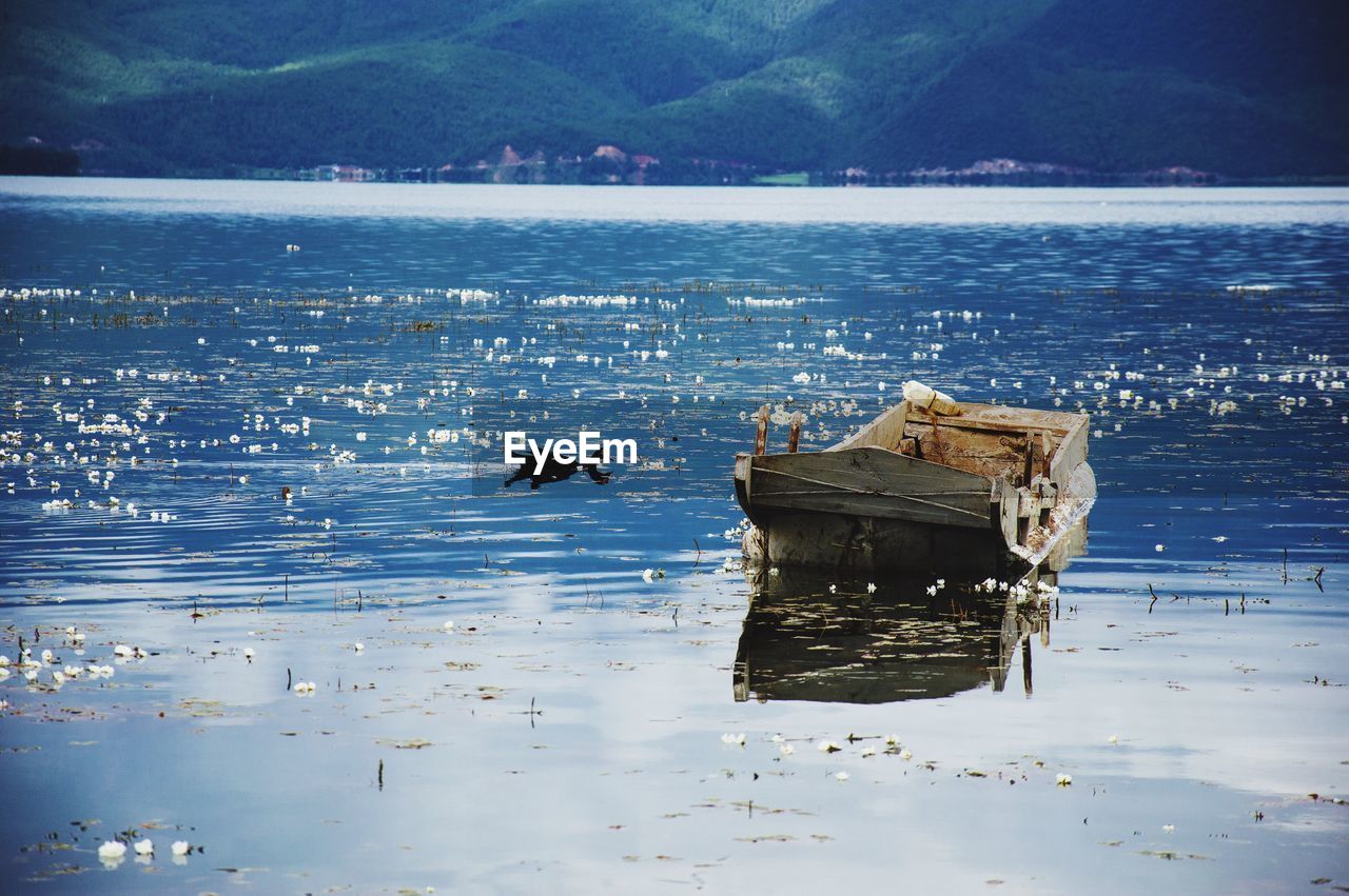 Abandoned boat sinking in river