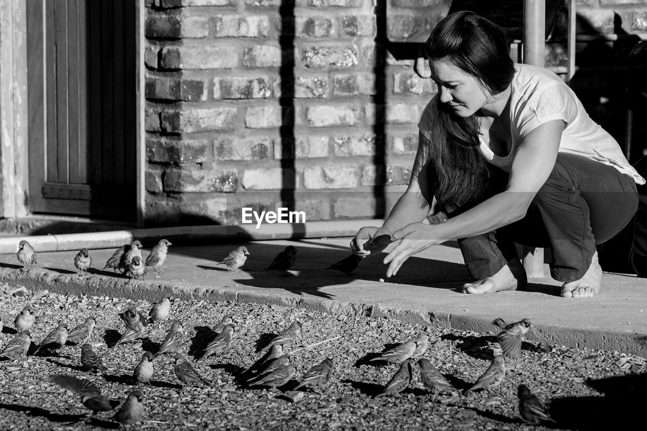 Full length of woman crouching by birds