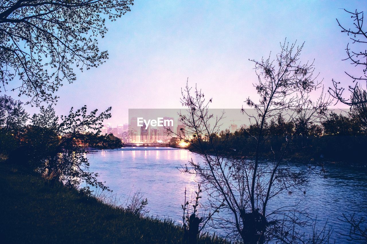 Illuminated skyline and riverside trees at dusk