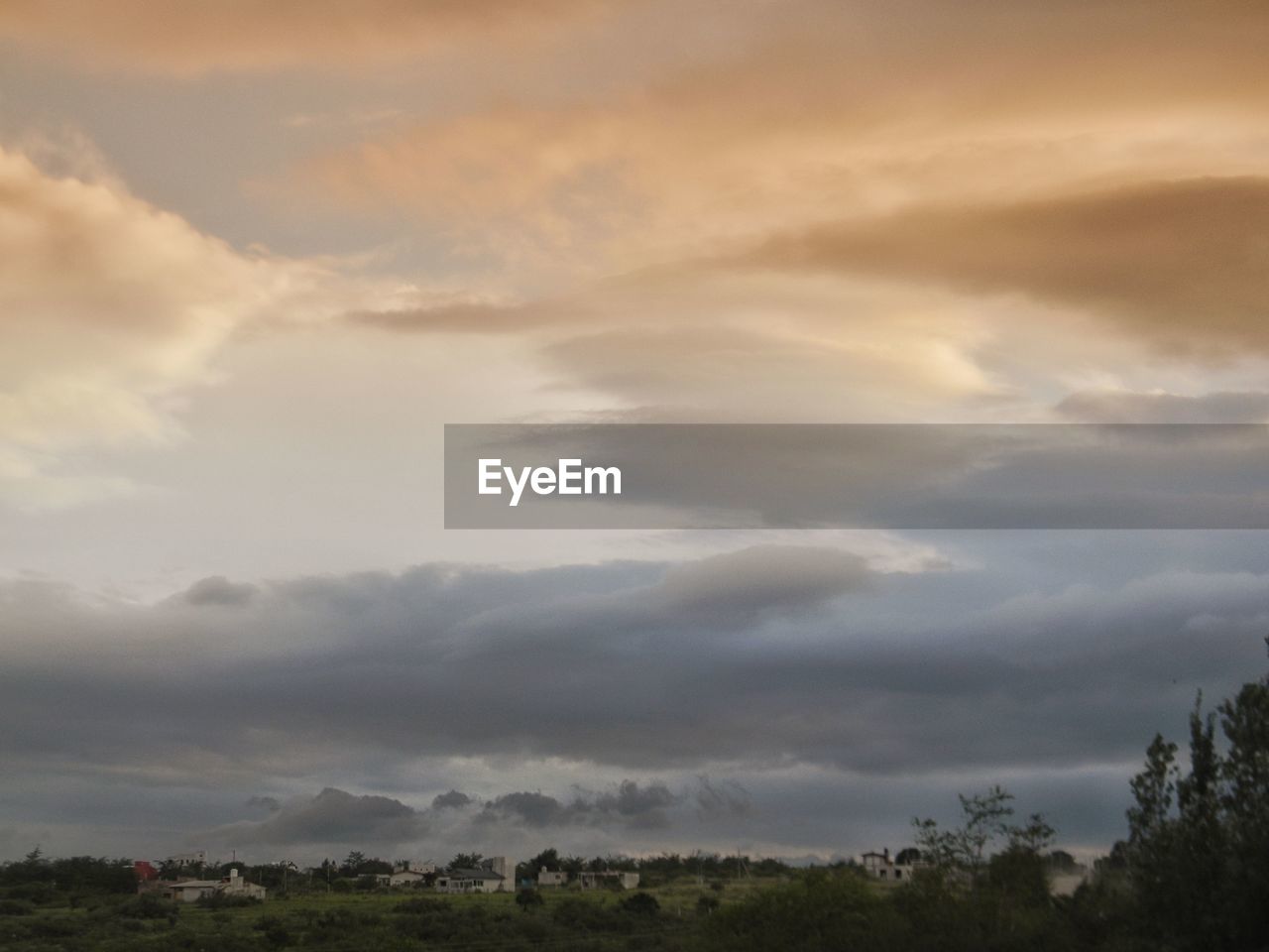 Low angle view of trees against sky during sunset