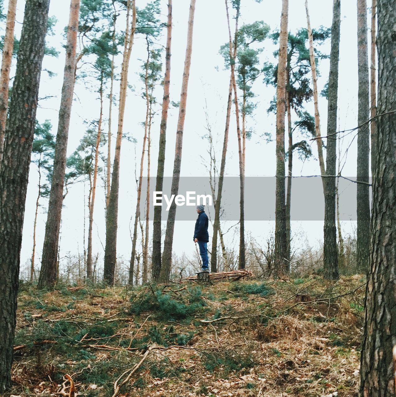 Side view of man standing amidst trees in forest