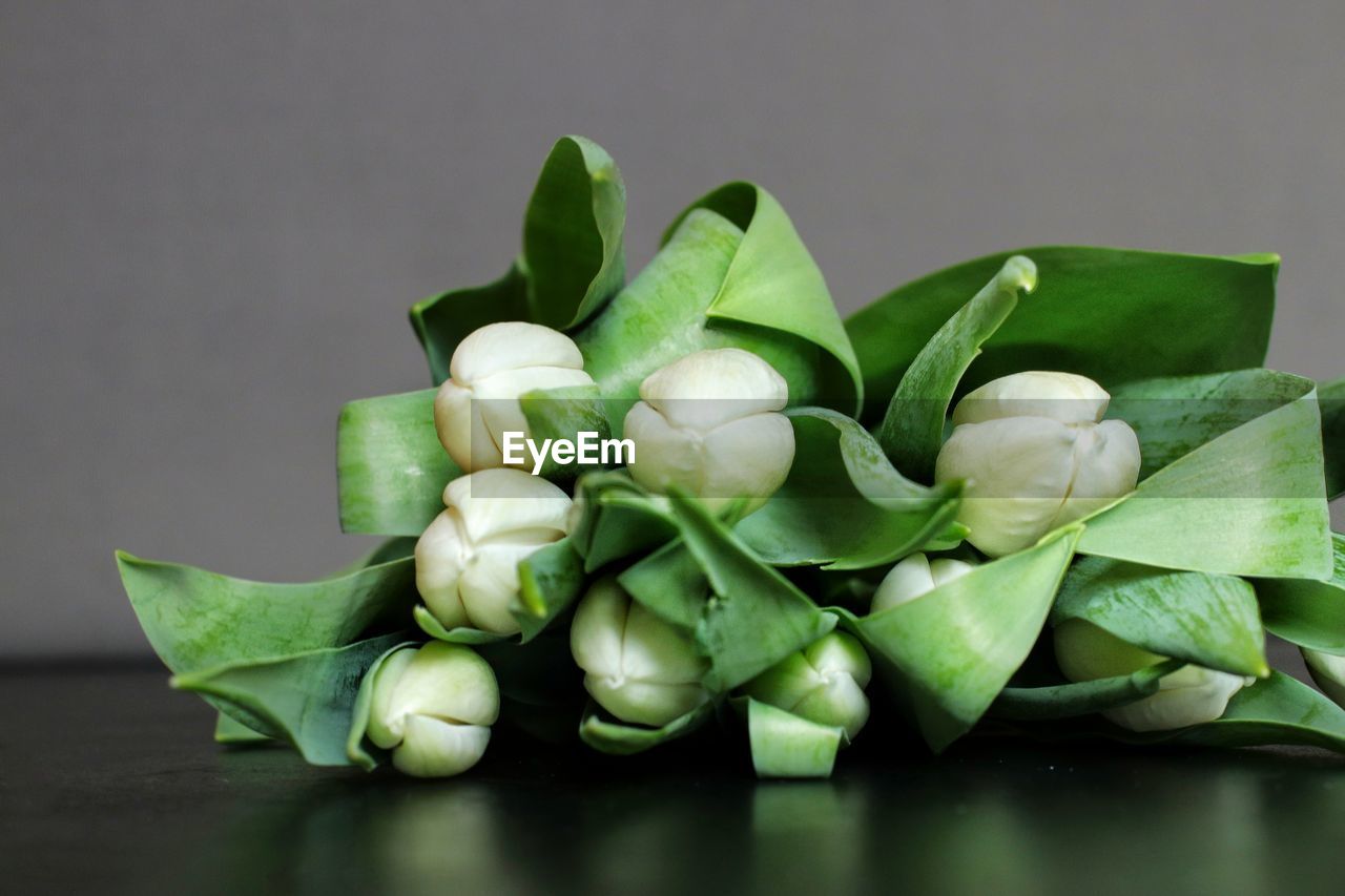 Close-up of white tulips on table