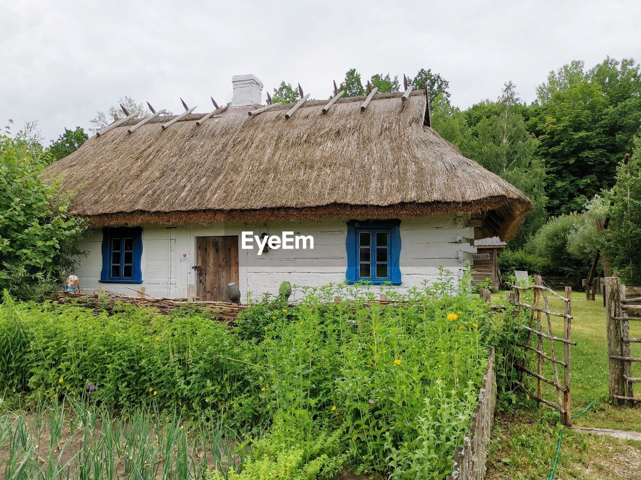 HOUSE AND TREES ON LANDSCAPE