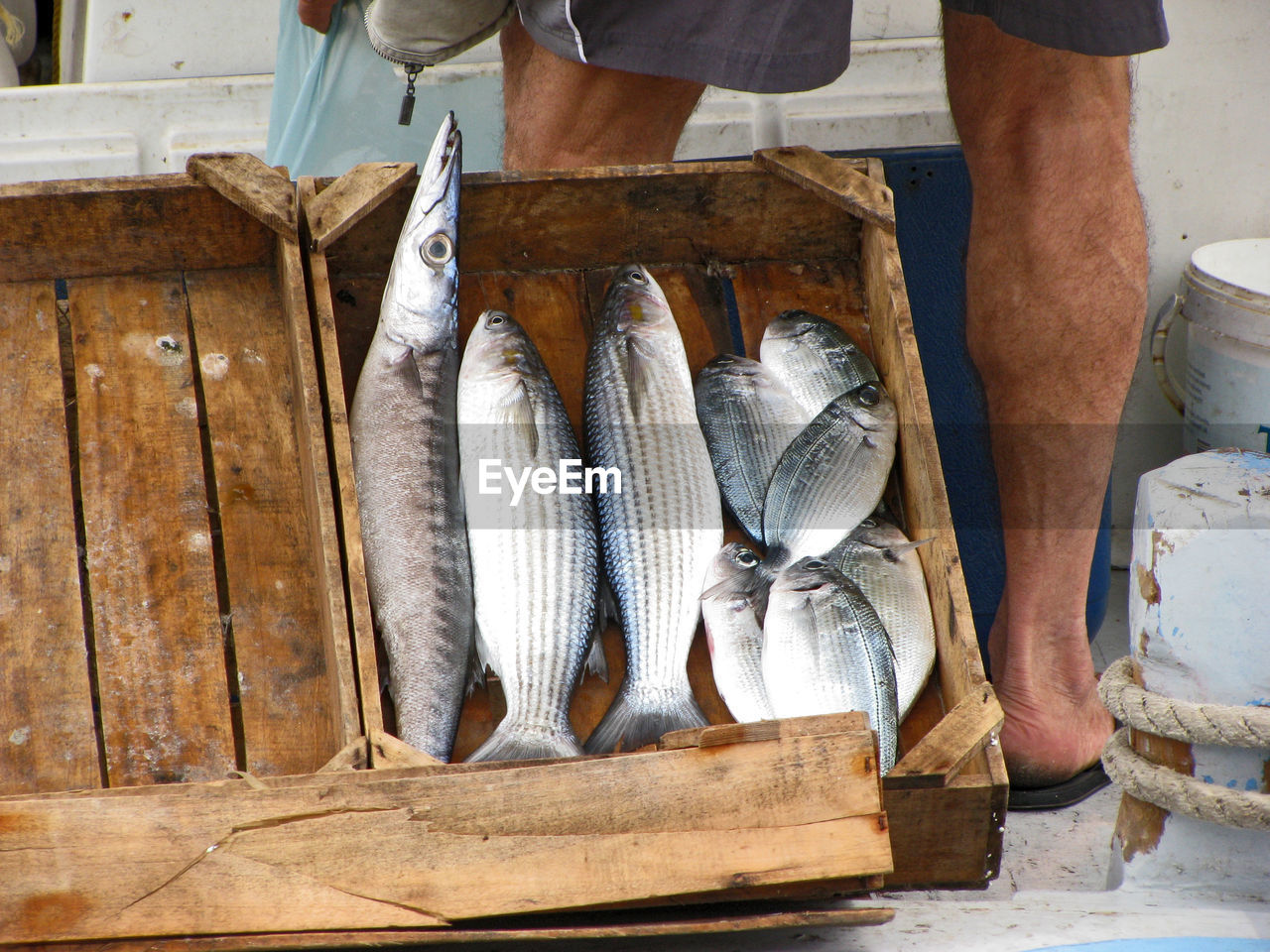 Low section of man standing by fish in wooden crate for sale at market