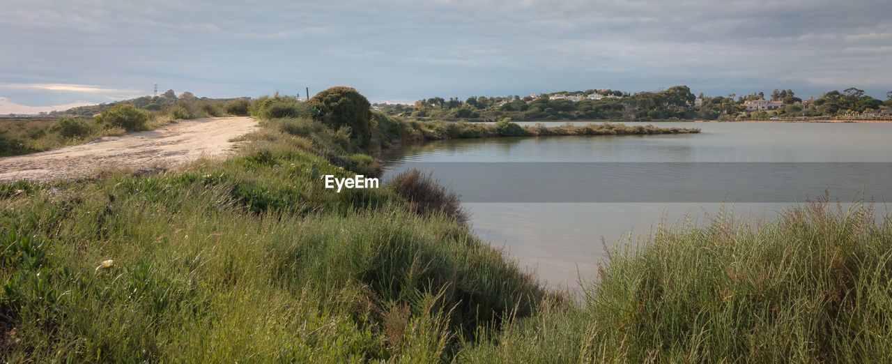 SCENIC VIEW OF LAND