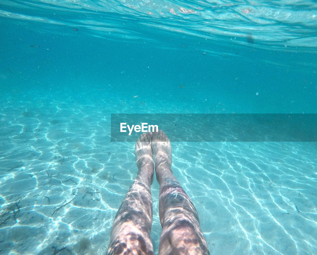 Low section of man swimming in sea