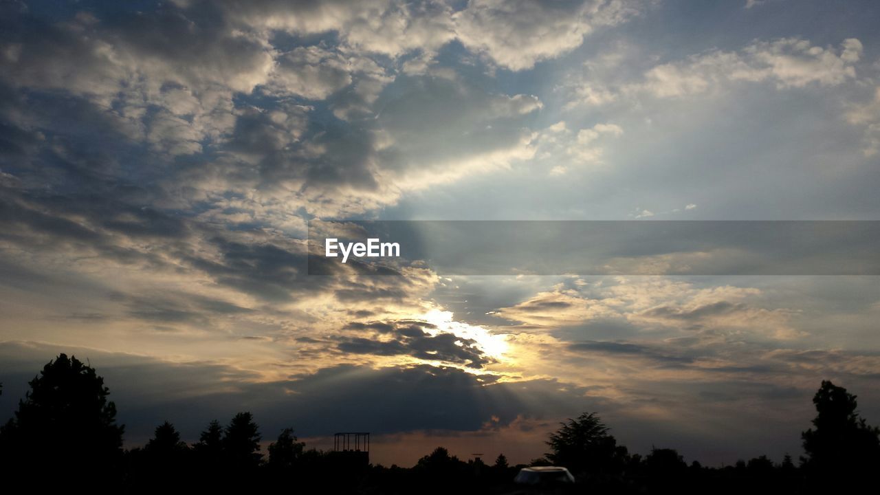 SILHOUETTE OF TREES AGAINST CLOUDY SKY AT SUNSET