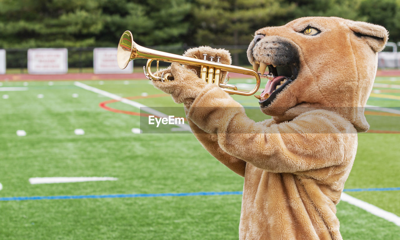 A cougar mascot standing sideways pretending to play a trumpet on an athletic turf field.