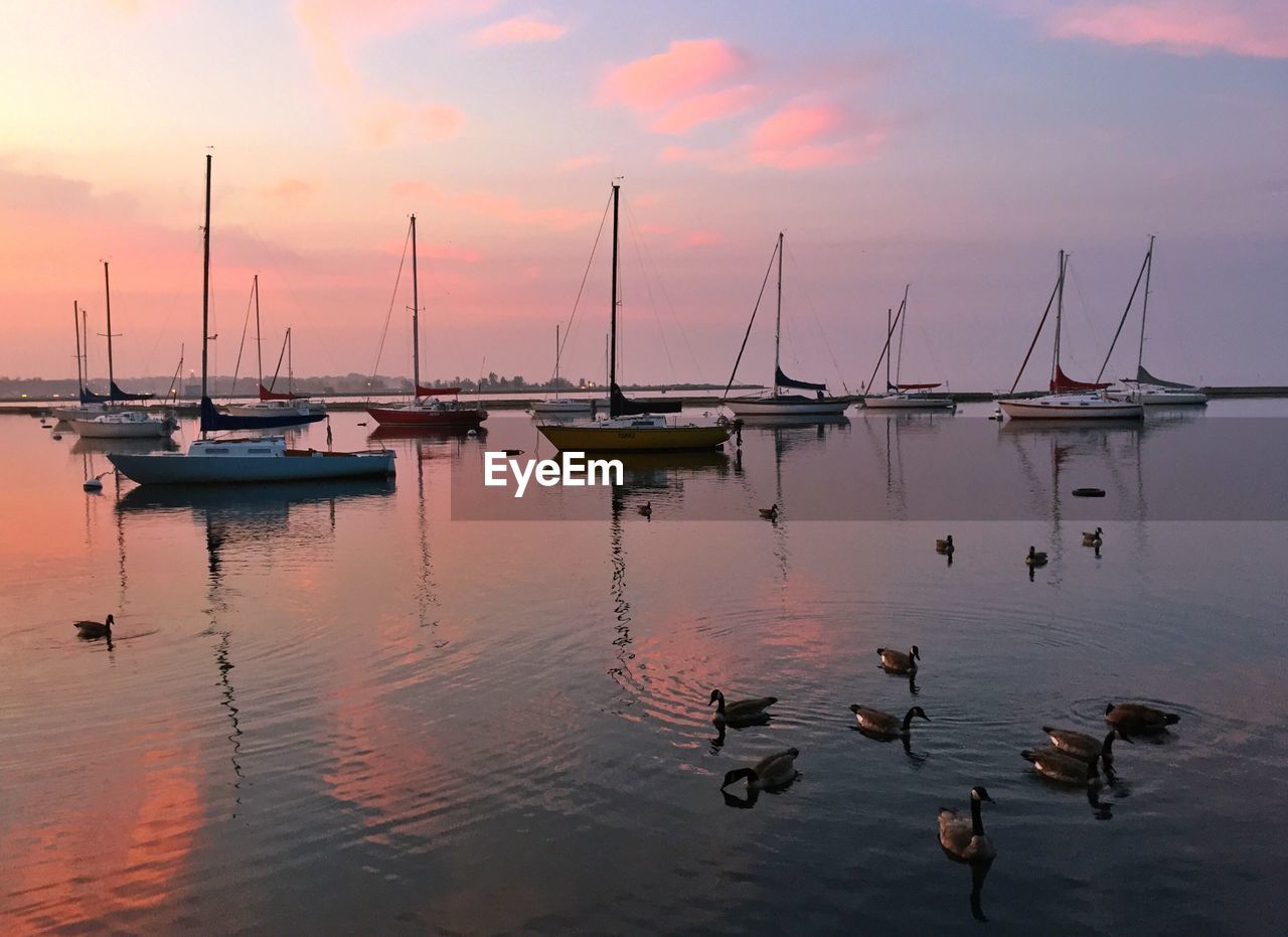 Sailboats moored on sea against sky during sunset