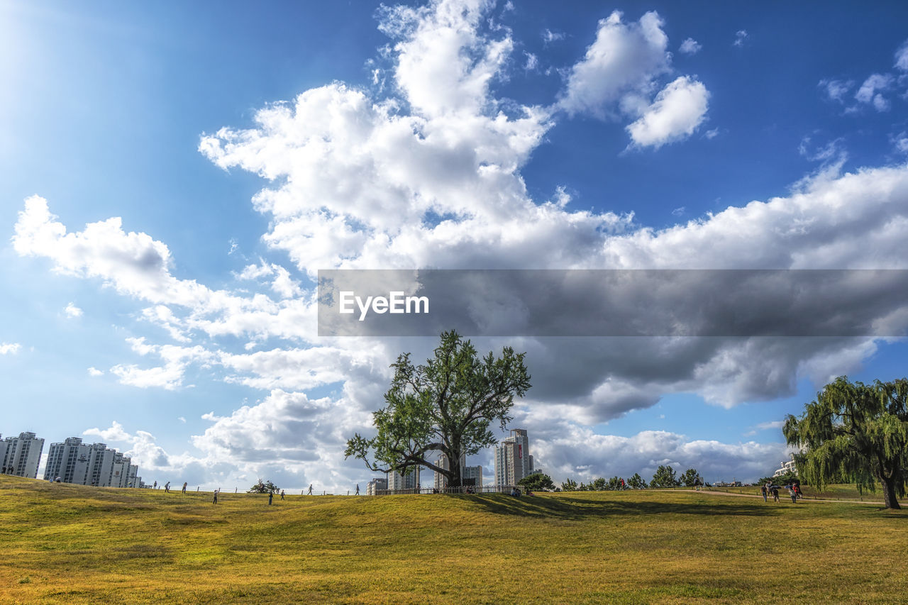 Summer sky view of seoul olympic park. one of famous seoul travel landmarks. seoul, south korea