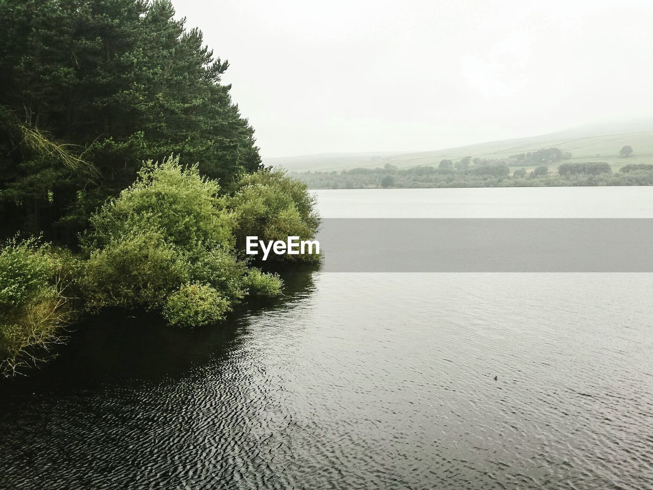 Reflection of trees in calm lake