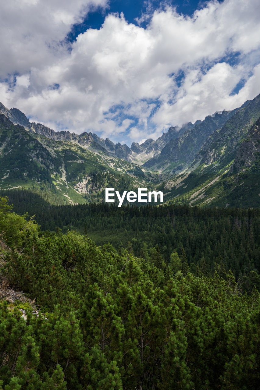 Scenic view of forest by mountains against cloudy sky