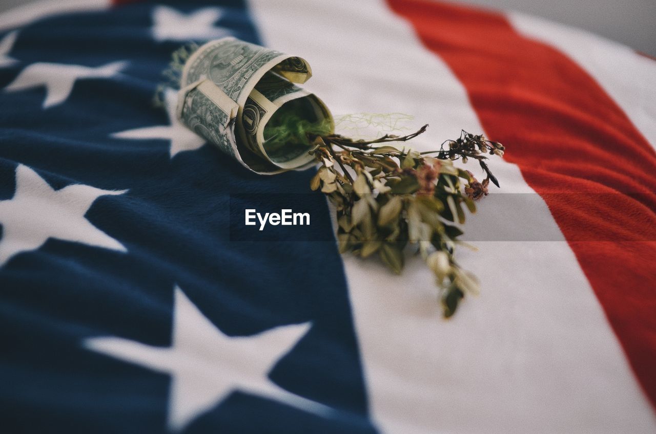 Close-up of dry plant with paper currency on american flag