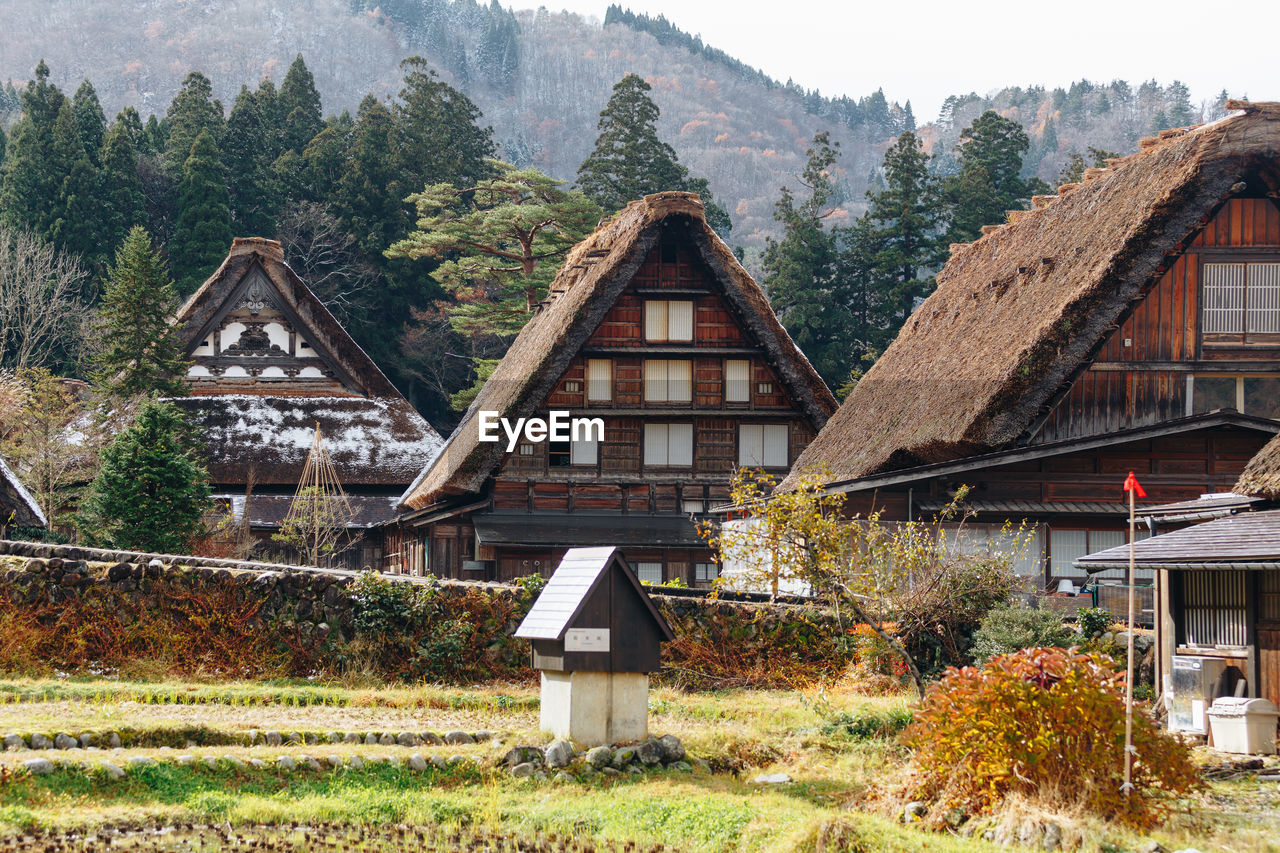 HOUSE AMIDST TREES AND PLANTS GROWING IN CITY