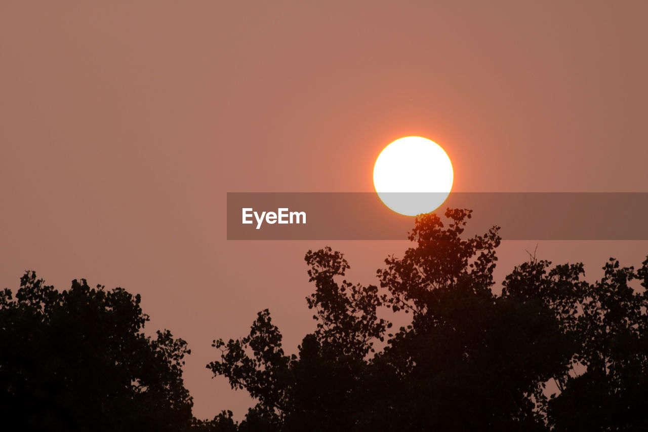 LOW ANGLE VIEW OF SILHOUETTE TREES AGAINST SKY AT SUNSET