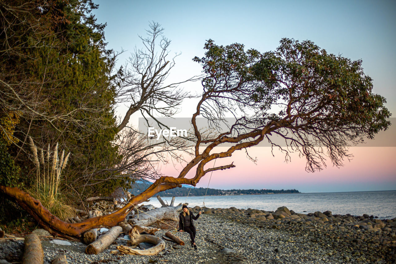 TREES ON BEACH AGAINST SKY